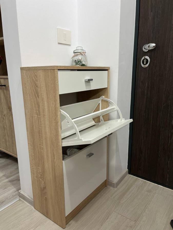 Apartament Modern Cu O Camera Διαμέρισμα Τιμισοάρα Εξωτερικό φωτογραφία