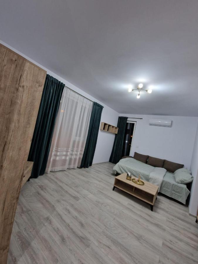 Apartament Modern Cu O Camera Διαμέρισμα Τιμισοάρα Εξωτερικό φωτογραφία